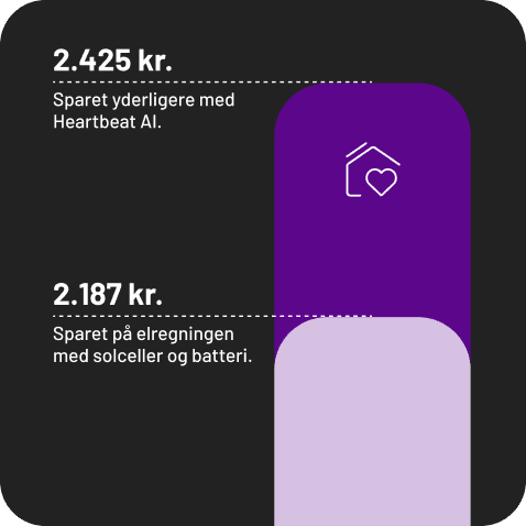 Graf over heartbeat data